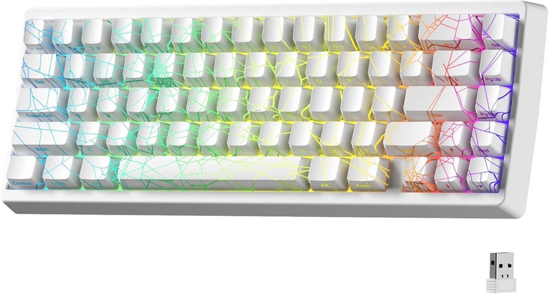 HITIME x XVX M67 Wireless 60% Percent Keyboard, QMK/VIA Gaming Keyboard, Tri-Mode Thocky Creamy Mechanical Key Board, Hot Swappable Gasket Mount RGB IMD Tech for Win/Mac, Spider Web Theme, White - Image 1